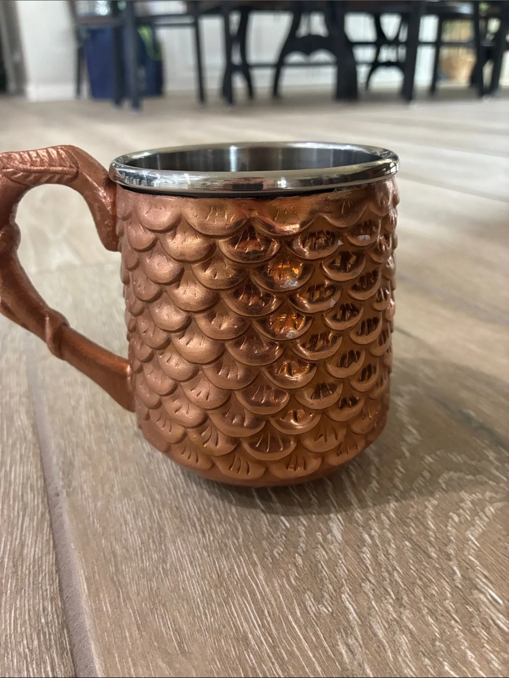 Pier 1 Copper Owl Mug with Stainless Steel Rim